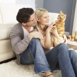 Hogyan lehet egy cica vagy felnőtt macskát tartalmazni a lakásban: szabályok a macskák otthon tartására